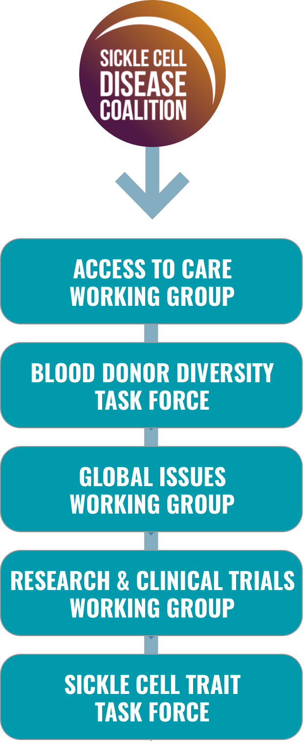 SCDC Structure Image